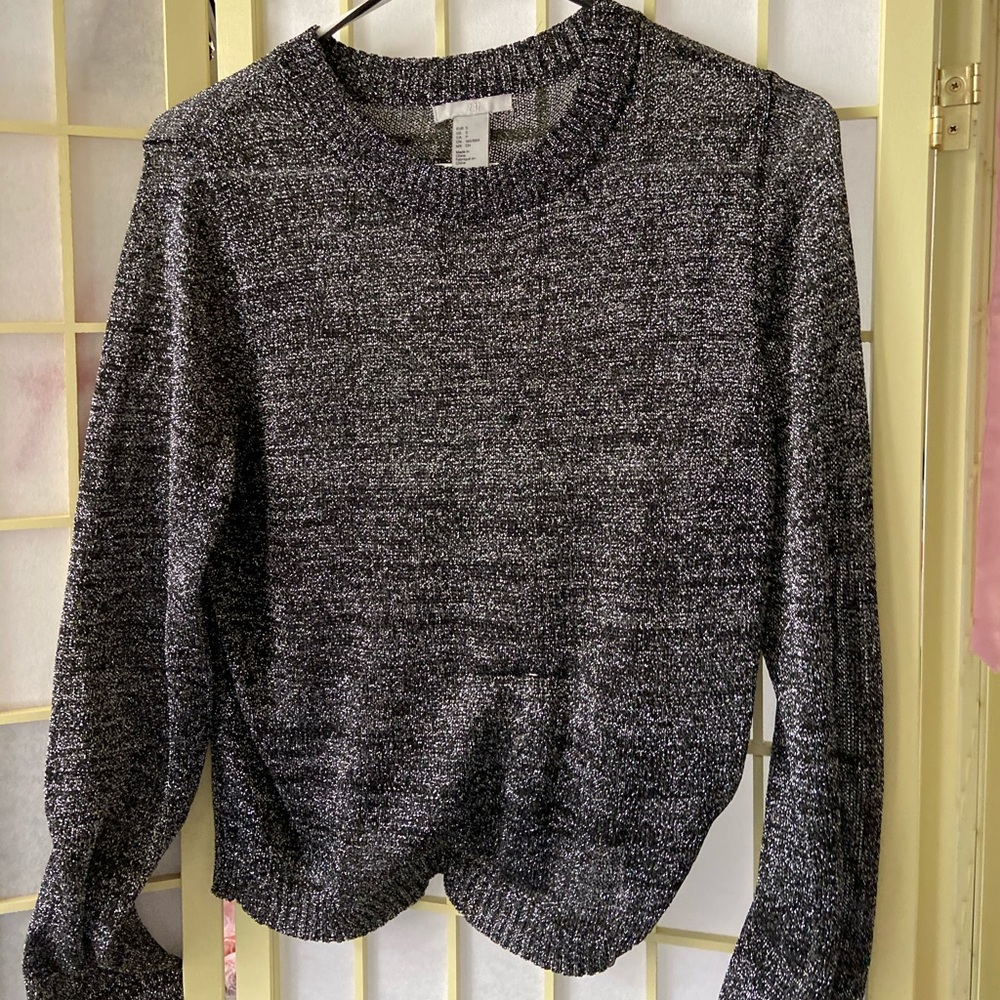 H&M sheer shimmer sweater